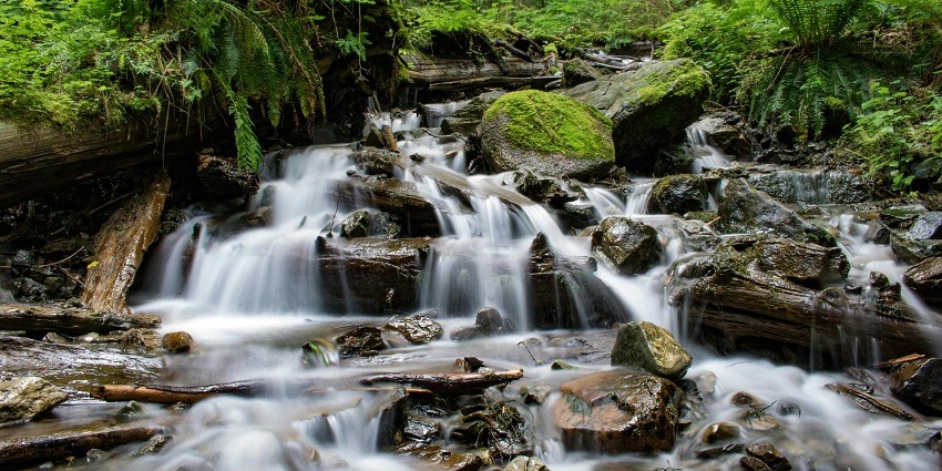 Image of waterfall in a dense forest caseding through rocks and river
