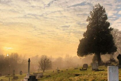 A glimpse of a cemetery under cloudy skies covered with graves and lush green trees.