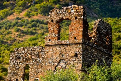 A glimpse of the iconic Bhnagarh Fort in Rajasthan surrounded by lush green vegetation.