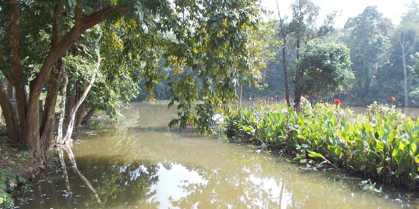 Hazaribagh National Park is home to a serene lake offering beautiful views and atmosphere.