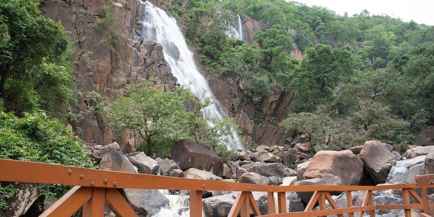 Hazaribagh National Park is a must-visit place near Padma Fort in the same district.