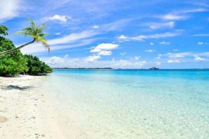 A breathtaking vista of pristine white sands adorned with lush green palm trees.