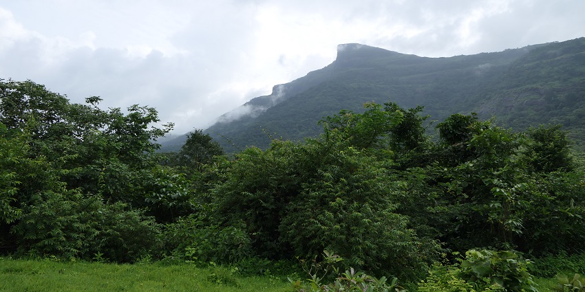 Duke's Nose, a popular tourist attraction near Lonavala, featuring a prominent cliff.