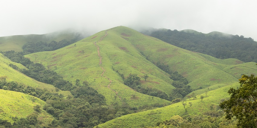 Hiking the Kudremukh peak is the most adventurous thing.