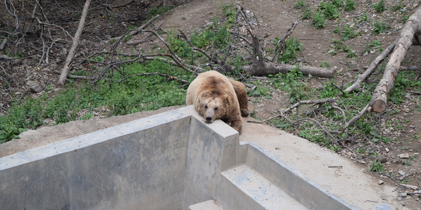 Himalayan Nature Park is one of the spots that is a must-visit for wildlife lovers.