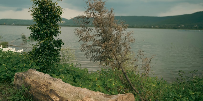 Places to visit in Hinjewadi feature a lake surrounded by greenery and perfect for relaxation.