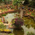 An areal snapshot of a garden, one of the nice places to visit in Hoi An for your trip.