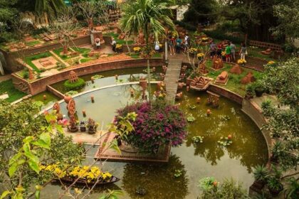 An areal snapshot of a garden, one of the nice places to visit in Hoi An for your trip.