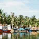 An enchanting vista of shimmering waters surrounded by lush greenery in Vietnam.