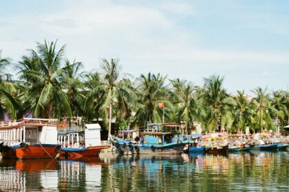 An enchanting vista of shimmering waters surrounded by lush greenery in Vietnam.