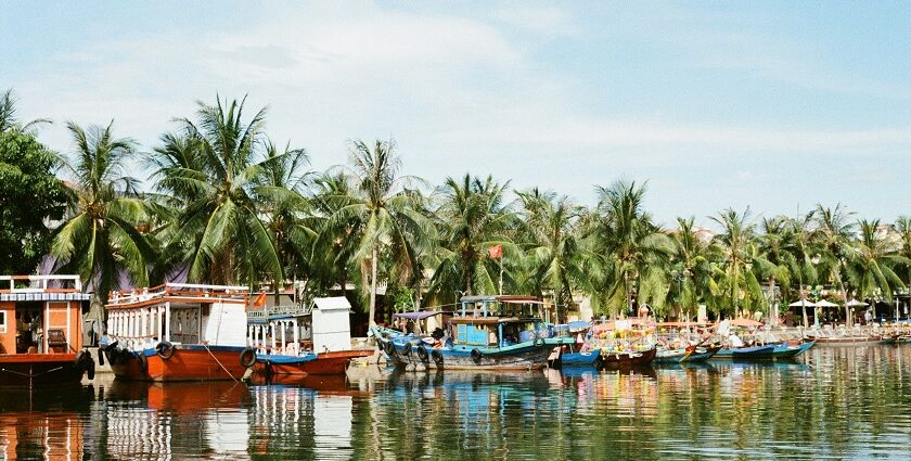 An enchanting vista of shimmering waters surrounded by lush greenery in Vietnam.