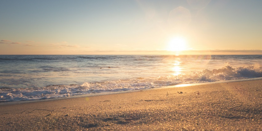 An image of Hollant Beach which is one of the most famous beaches in Goa, India.