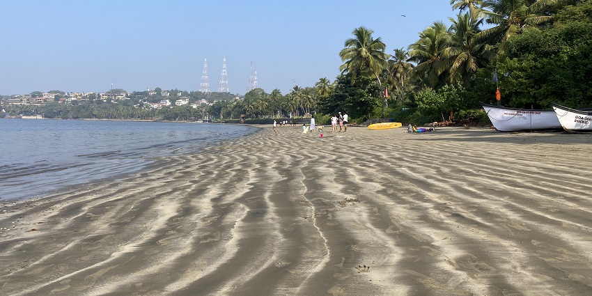 Panoramic view of the beautiful Beach surrounded by the lush green palm trees and golden sand