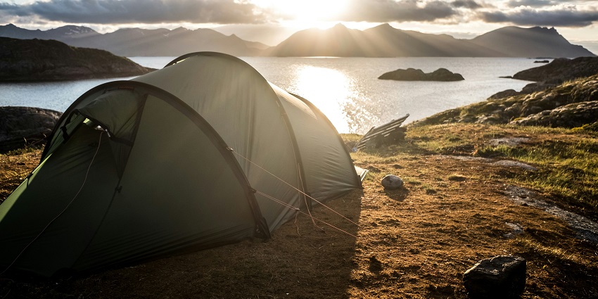 A glimpse of a stay stretched on the ground surrounded by serene waters and greenery.