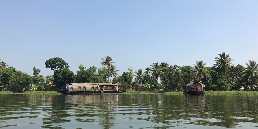 Here is a picturesque backwaters to explore near the Sharavathi Wildlife Sanctuary.