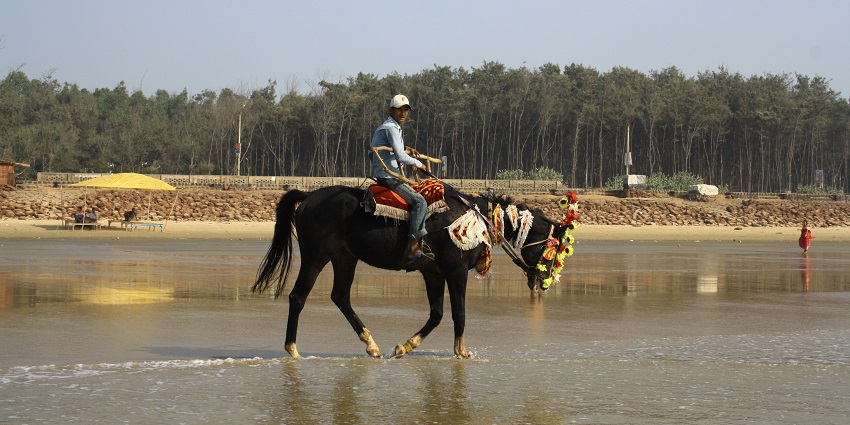 Horse riding at the beach.