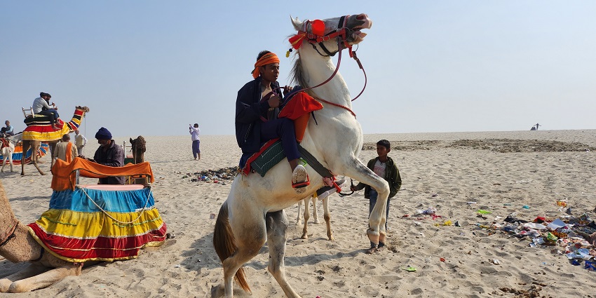 Gallop across the Thar Desert, discovering vibrant Rajasthan traditions and communities.