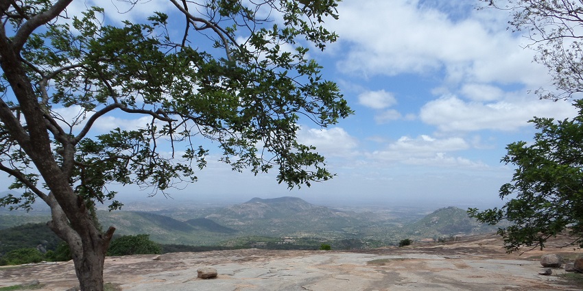 Scenic view of the Horsley hills with the bright sky in the background and forests hills in the distance