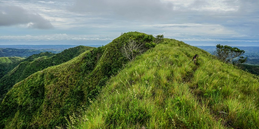 Explore the serene Horsley Hills which is one of the places to visit near Srikalahasti.