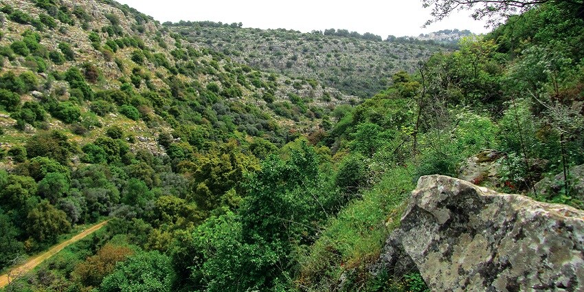 See the lush green Horsely Hills - one of the places to visit near Tirupati within 200 kms.