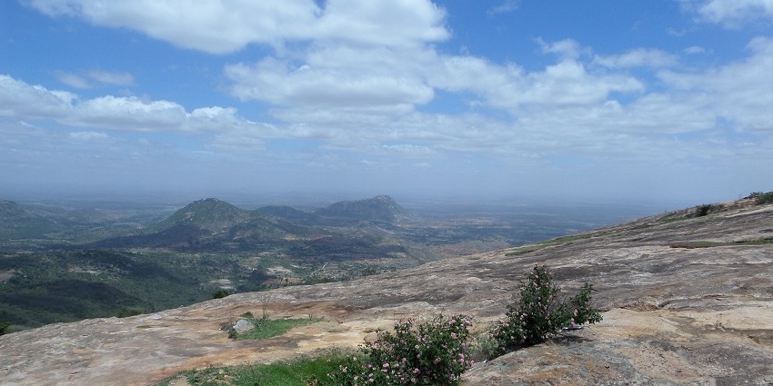 Horsley is yet a charming attraction where you can witness rich flora and fauna.