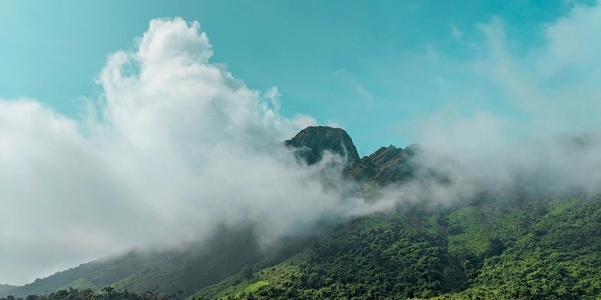 A scenic view of the lush green peaks surrounded by misty blanket of air in Horsley Hills.