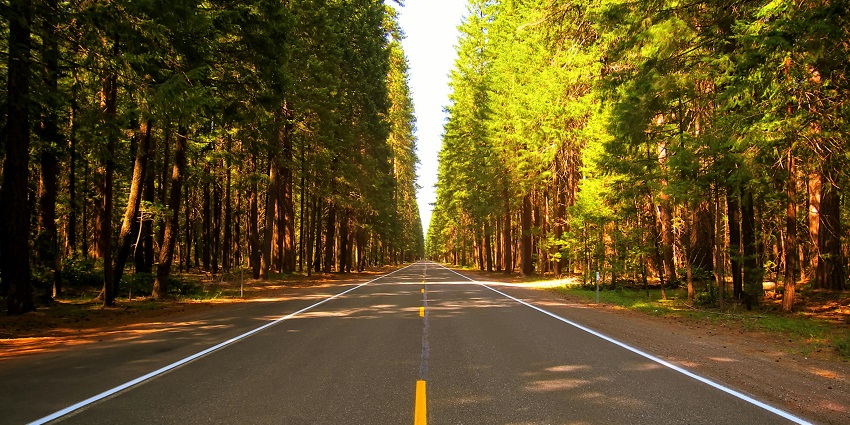 A stunning view of a straight road surrounded by lush greenery during the daytime.