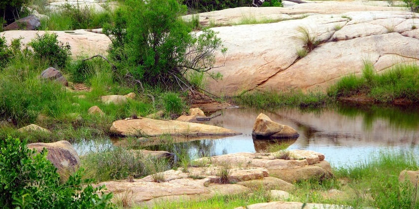 Majestic view of a serene water lake surrounded by verdant landscapes