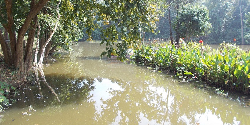 The scenic Hazaribagh National Park is easily accessible via the city of Ranchi