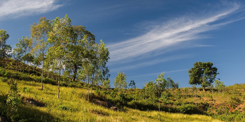 A picture of clouds covering the lush green area of Vizag located near the Dharmatma Waterfall