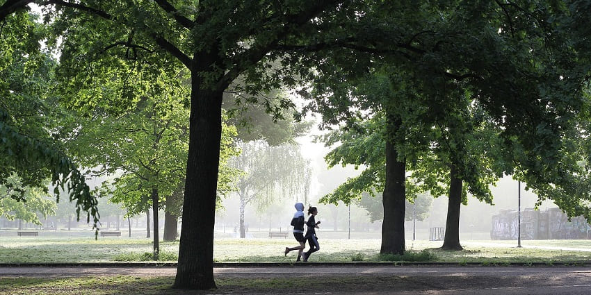 View of people jogging through the park in a misty morning