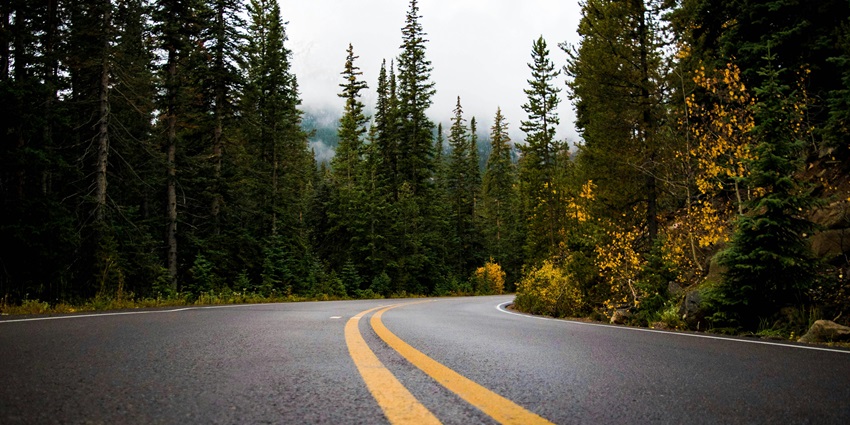 beautiful image of a asphalt road passing through the dense jungle and landscape view