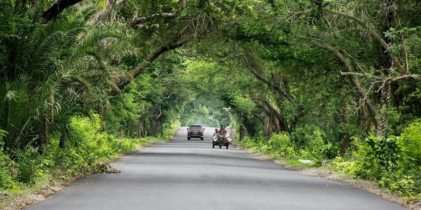 Scenic view of a road passing through the lush green forest area amidst the beautiful city