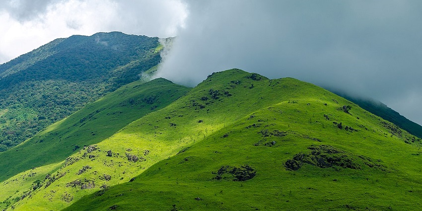 Go trekking amidst the Banasura hill tops to enjoy the scenic views of the surroundings