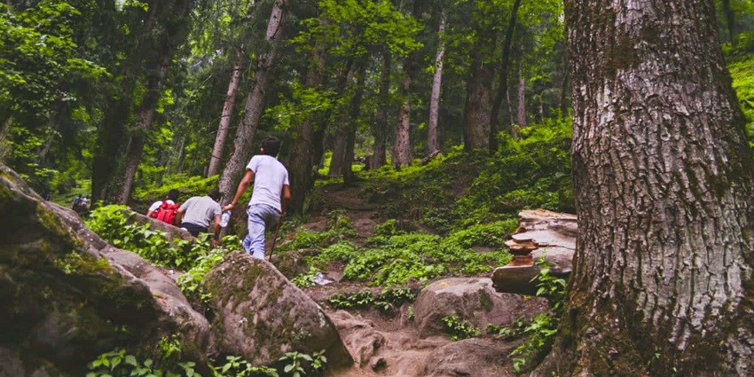 Snapshot of the beautiful trail of Kheerganga summit after crossing nakthan village