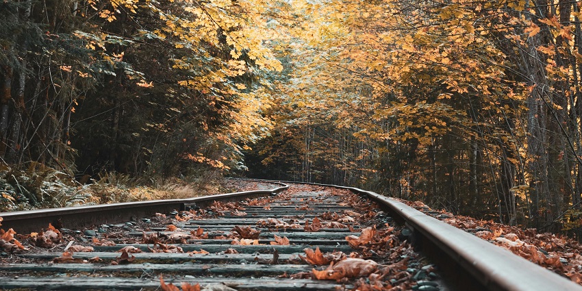 Image of train tracks at eye level, surrounded by lush green trees and a clear sky