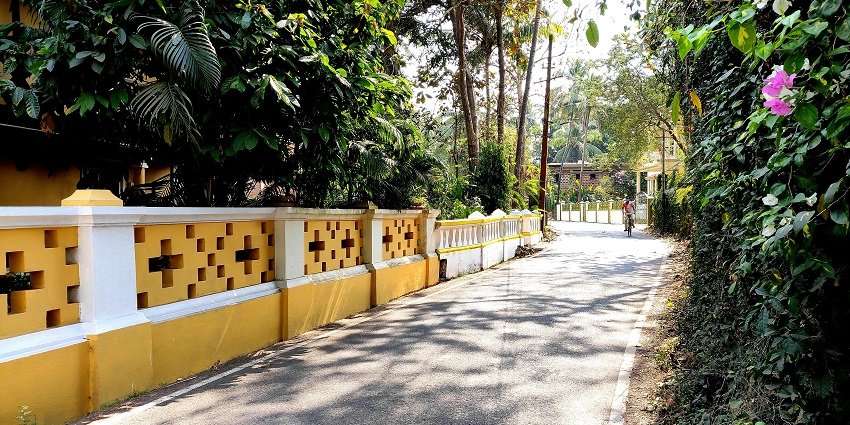 Image of serene road in Goa surrounded by lush green trees and traditional Goan house