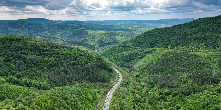 Dzukou Valley in December can be reached via air, rail, or trek, depending on your location.