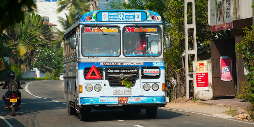 It is easy to reach the Chhatbir Zoo via public transportations like bus and taxi.