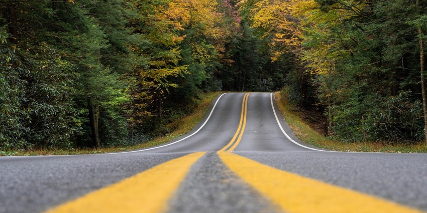 A stunning view of a winding road surrounded by lush greenery on all sides during the day.