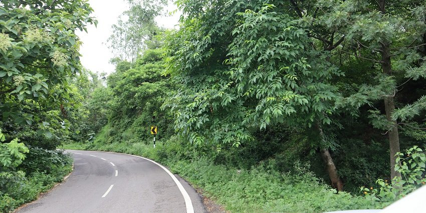 A mesmerising view of the Morni Hills surrounded by lush greenery during the daytime.