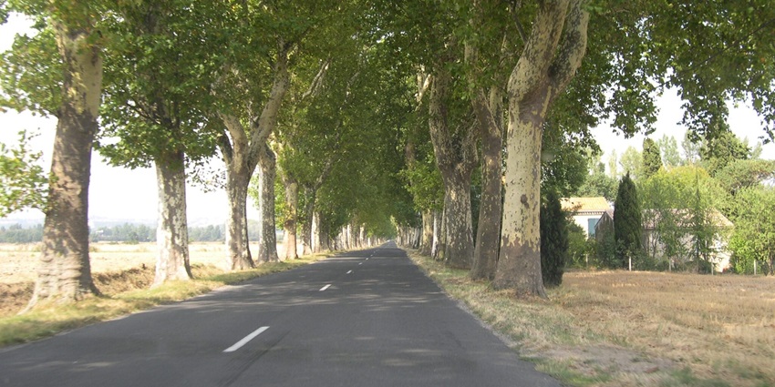 Panoramic view of the beautiful road passing through the idyllic landscape of near the Bhiwani zoo