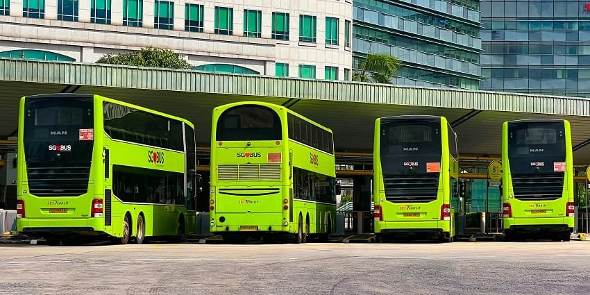 There are many ways to reach this tourist hotspot, one of them is to take a bus.