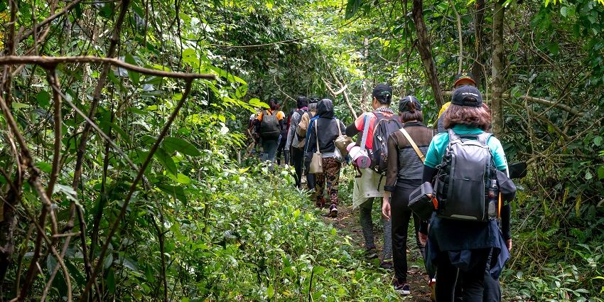 A trail going deep into the alluring nature park amidst the beautiful hills of haryana