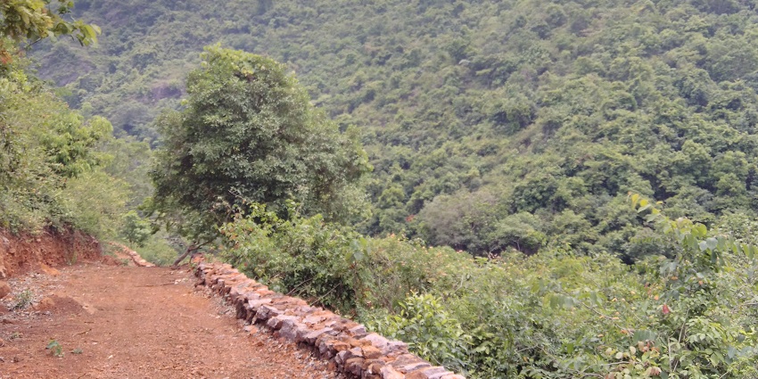 A road leading to Duduma Waterfalls through lush green terrain in Odisha