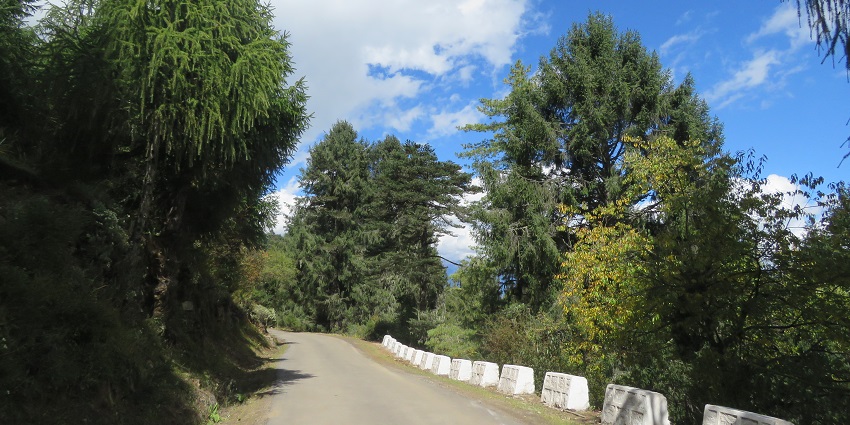 a beautiful view in Bhutan, showcasing a greeny and natural beauty route to Paro, a place near Jigme Singye Wangchuck National Park