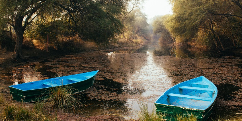 A serene water body in Keoladeo National Park, a haven for migratory birds and wildlife.