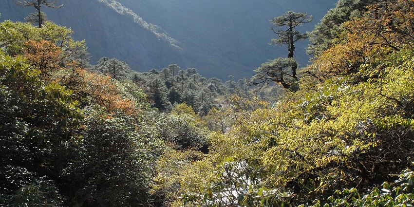 A panoramic view of this park with its majestic lakes and lush green forests