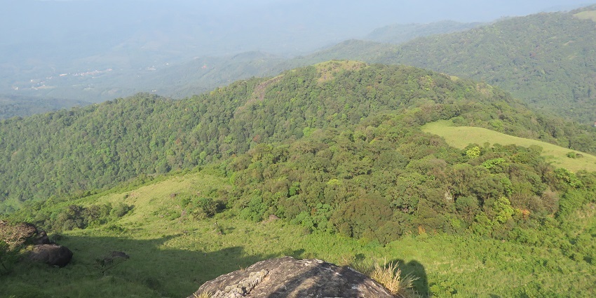 Scenic of the verdant landscapes rolling down to luscious forests at the bottom