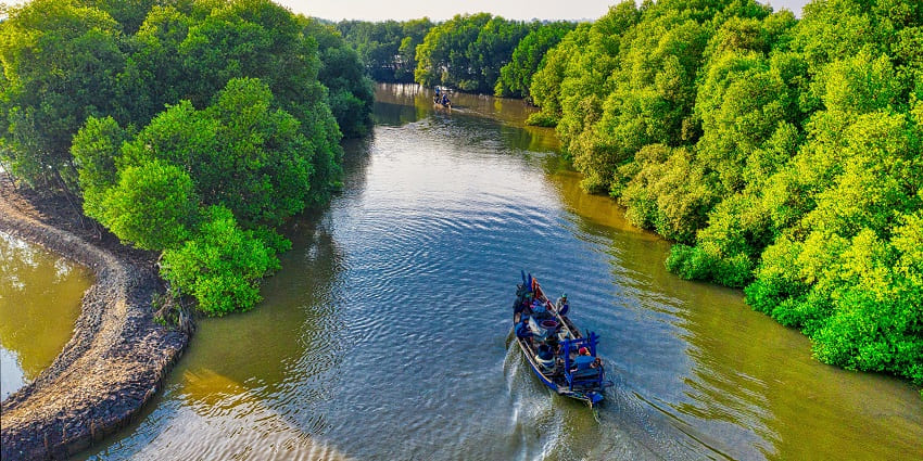 Snapshot of a boat passing through the backwater amidst the lush green trees and forest area